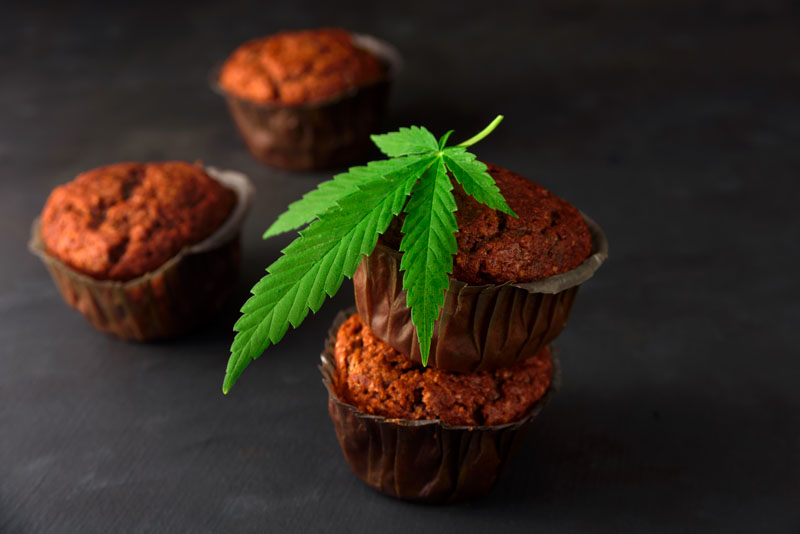 Domaci recept za cokoladni space cake s doziranjem THC CBD