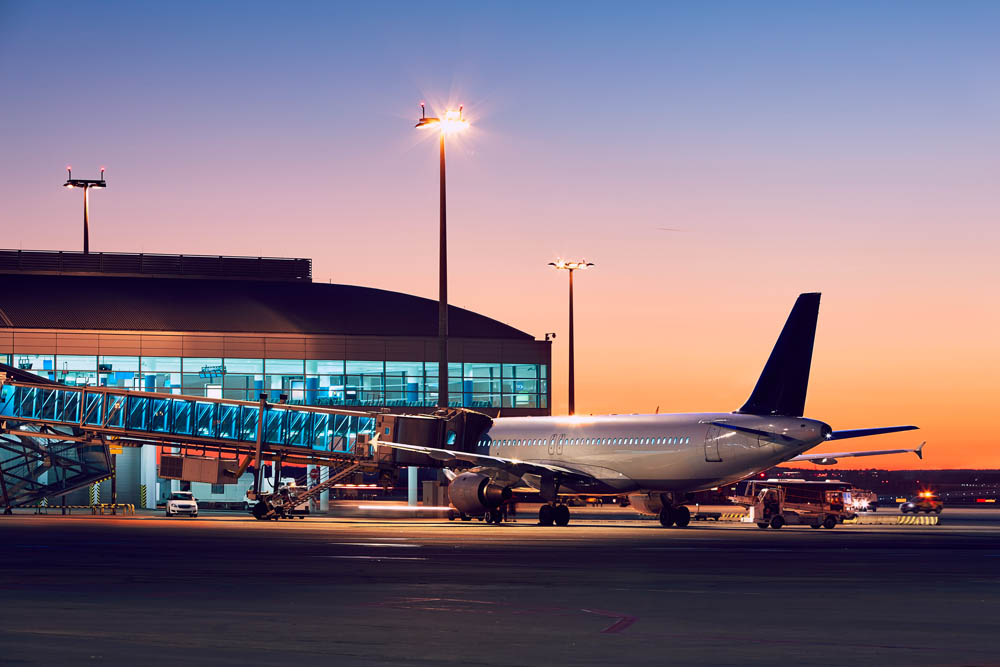 Kontrola celna na lotnisku Amsterdam Schiphol konopie